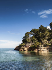 mediterrane