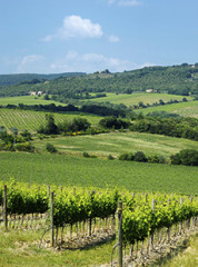 campagne