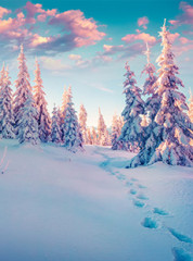 neige